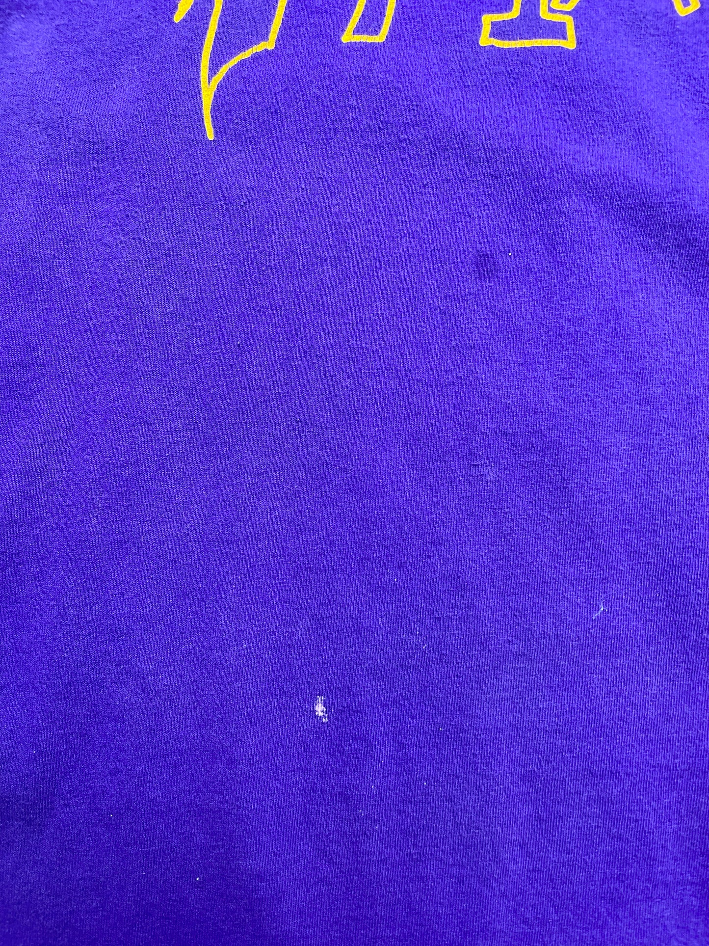 Vintage 2004 Prince Musicology Tour TShirt Large