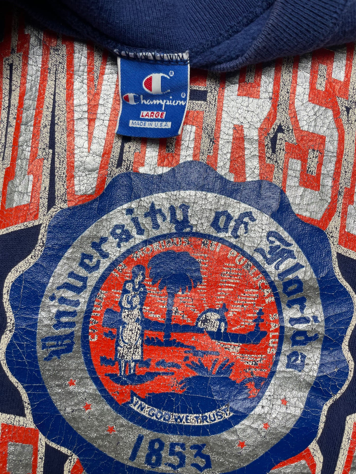 Vintage 80s/90s University of Florida Champion Sweatshirt Large