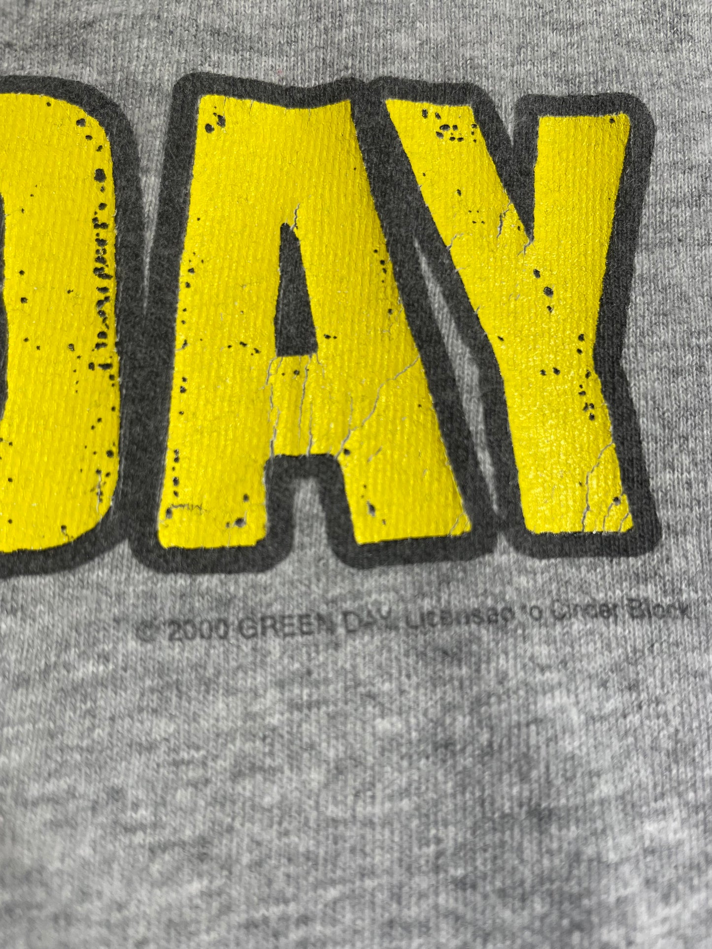 Vintage 2000 Green Day Warning Band T Shirt Medium