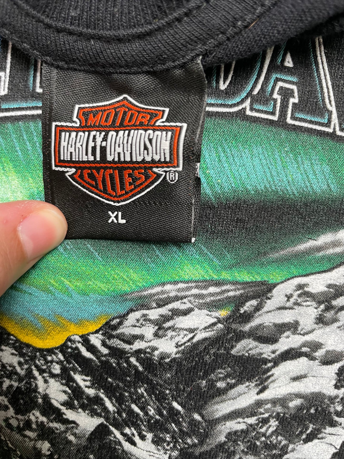Vintage Y2K Juneau, Alaska Harley Davidson Bear and Wale T Shirt XLarge