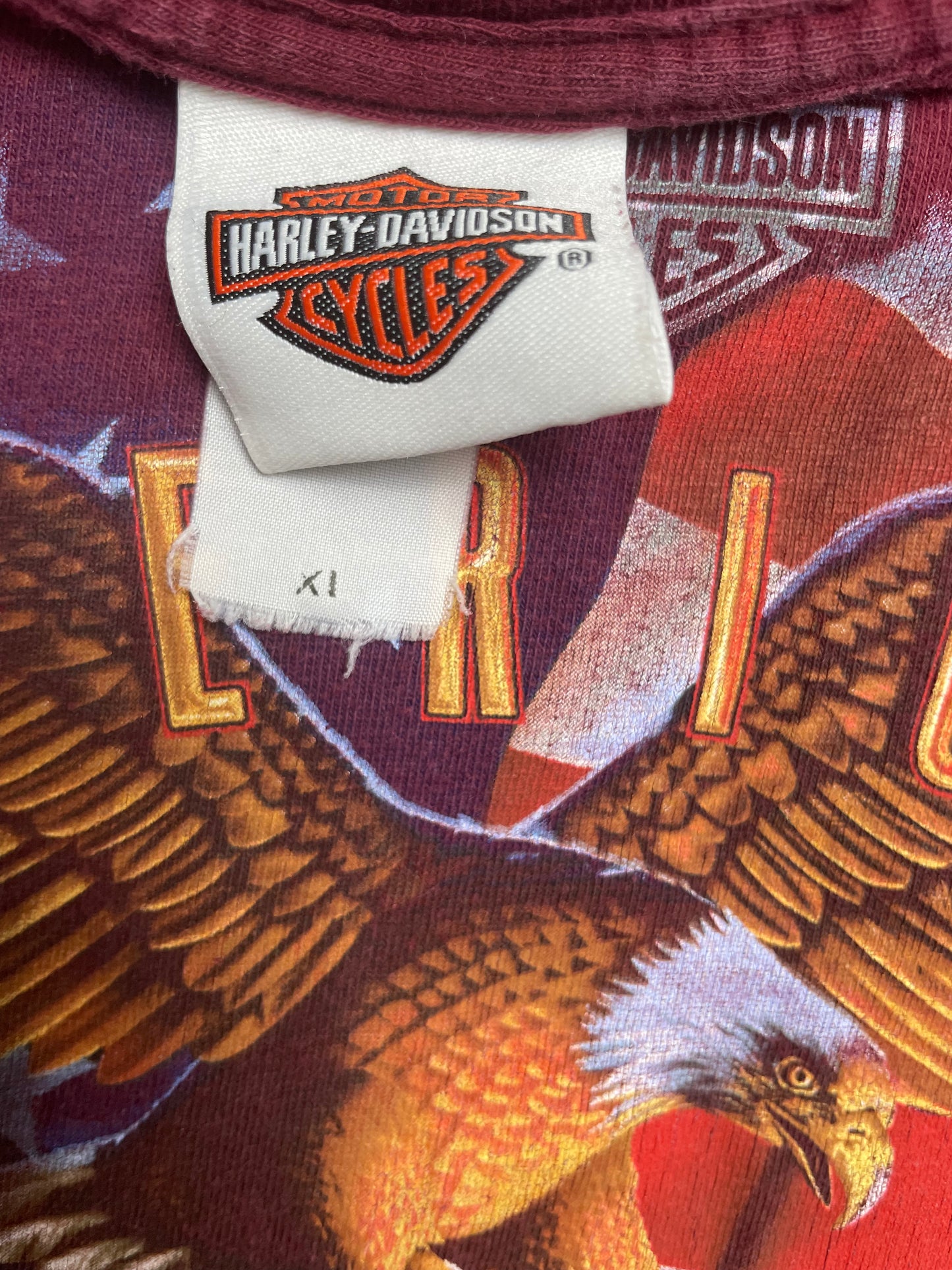 Vintage Y2K “America By Birth, Biker By Choice” Harley Davidson T Shirt XLarge